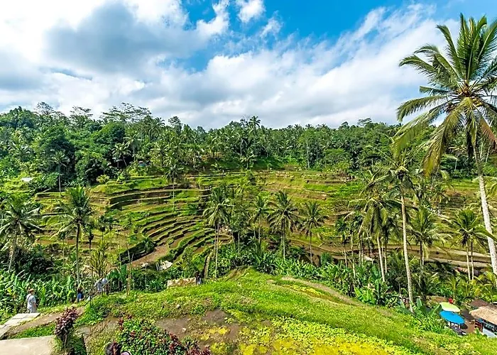 Cakra Ubud Hotel Keliki
